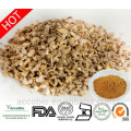 100% natürliche Bulk Supply Bio Ingwer Extrakt Pulver Curcumin 95%